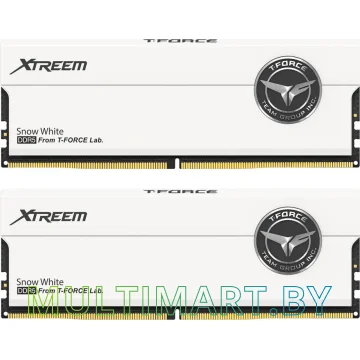 Оперативная память Team T-Force Xtreem 2x16GB DDR5 PC5-64000 (FFWD532G8000HC38DDC01)